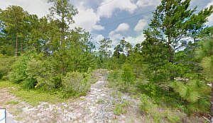 2nd image of 8748 Sand Pine Dr