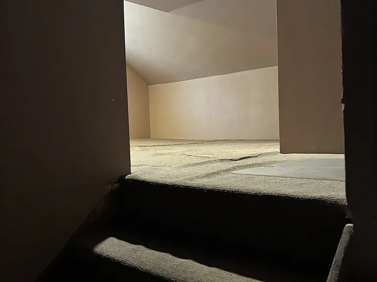 66 Finderne Ave #2 — Photo 19