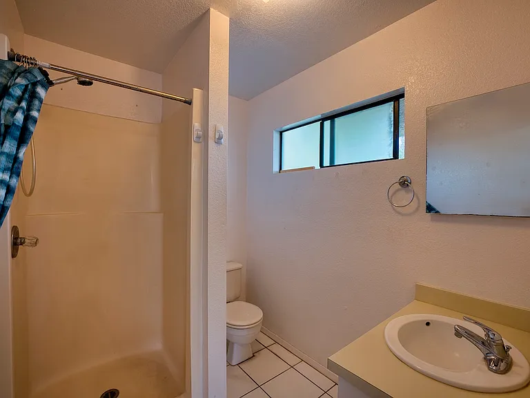 Downstairs bathroom with shower