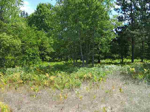 1st image of 0 Wild Turkey Tr Trail Road Off