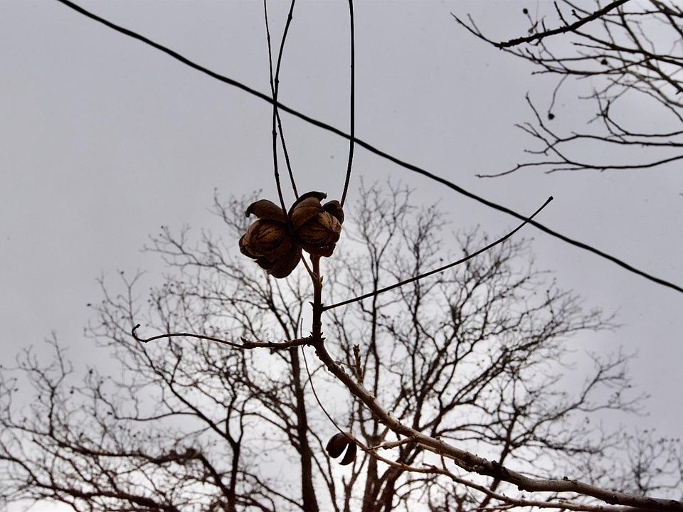 508 Jones St, Quitaque, TX 79255 Zillow