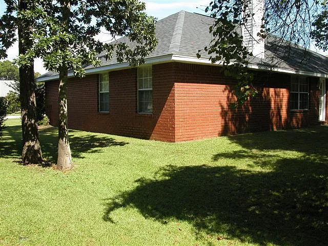 Back yard