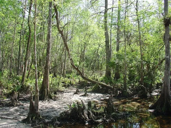 975 N Silver Lake Rd, Labelle, FL 33935