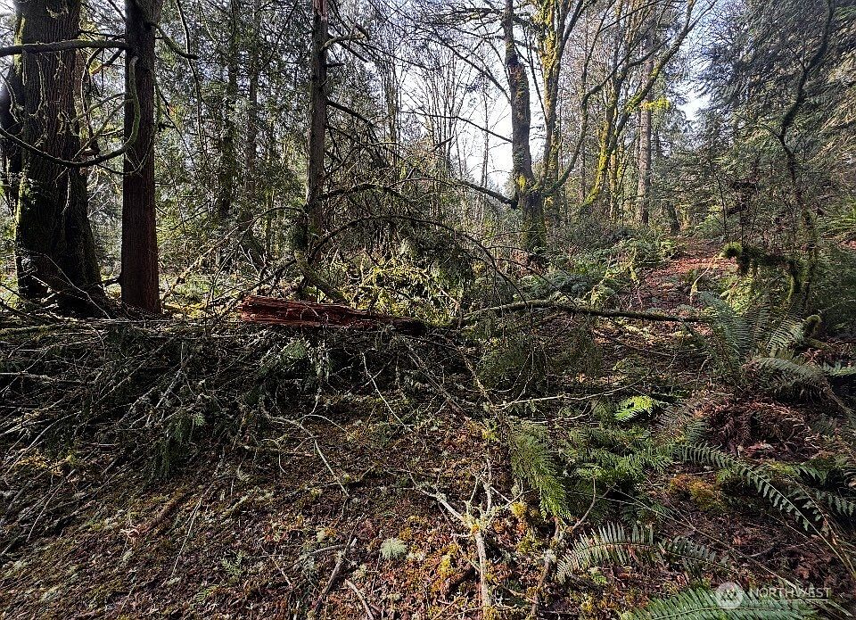 1st image of 0 XX Quail Trail Lane