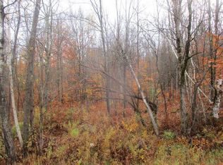 0 Trim Hill Rd, Dickinson Center, NY 12930