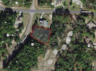 9965 N Pioneer Point, Citrus Springs, FL 34434