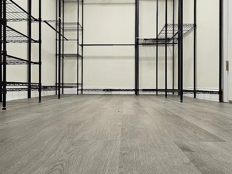 Basement Walk in Closet