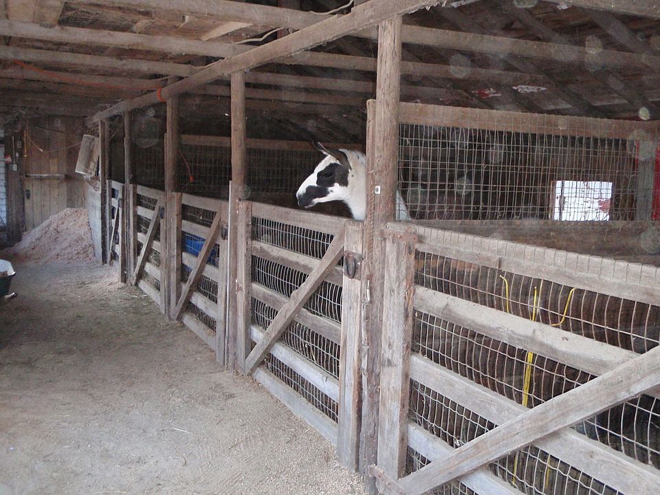 stalls in enclosed building