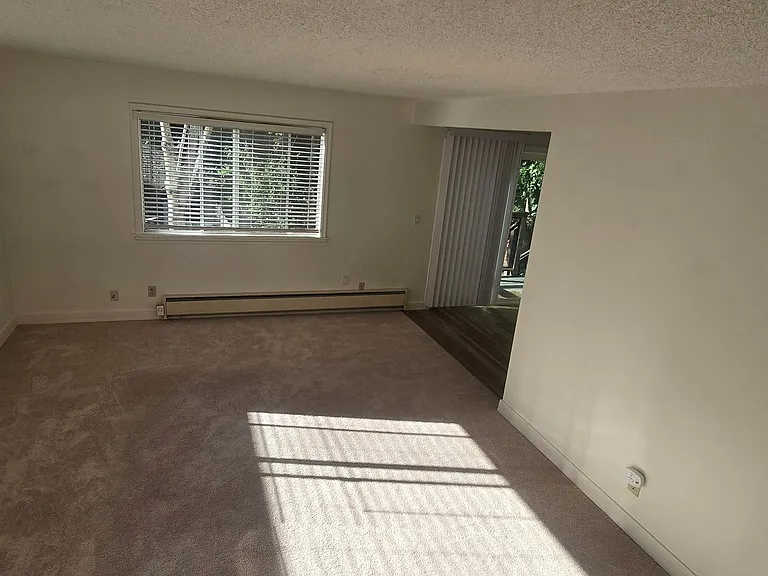 7321 Bodega Ave — Photo 14