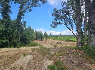 157 Mingo Chandler Rd, Nesmith, SC 29580