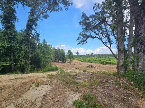 157 Mingo Chandler Rd., Nesmith, SC 29580