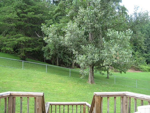 wooded view from deck