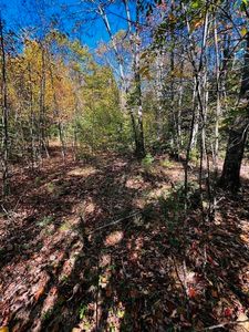 MAP 408 LOT 39-1 Bullock Rd, Richmond, NH, 03446