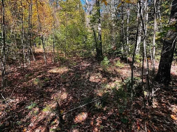 MAP 408 LOT 39-1 Bullock Rd, Richmond, NH 03446