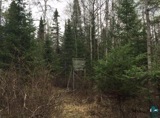 Tbd Wilson Rd, Makinen, MN 55763