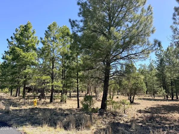 1755 SUGAR PINE Drive #232, Happy Jack, AZ 86024