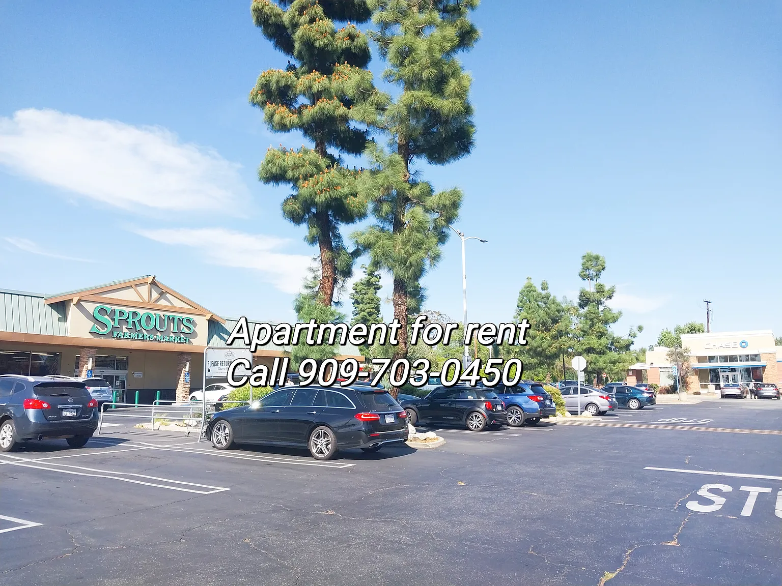848 W Bonita Ave — Photo 3