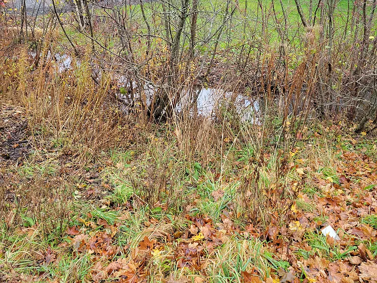 1458 Drummond Rd #2 — Photo 17