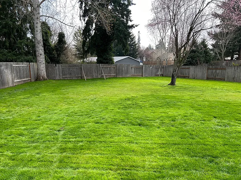 4099 Scenic Dr — Photo 20