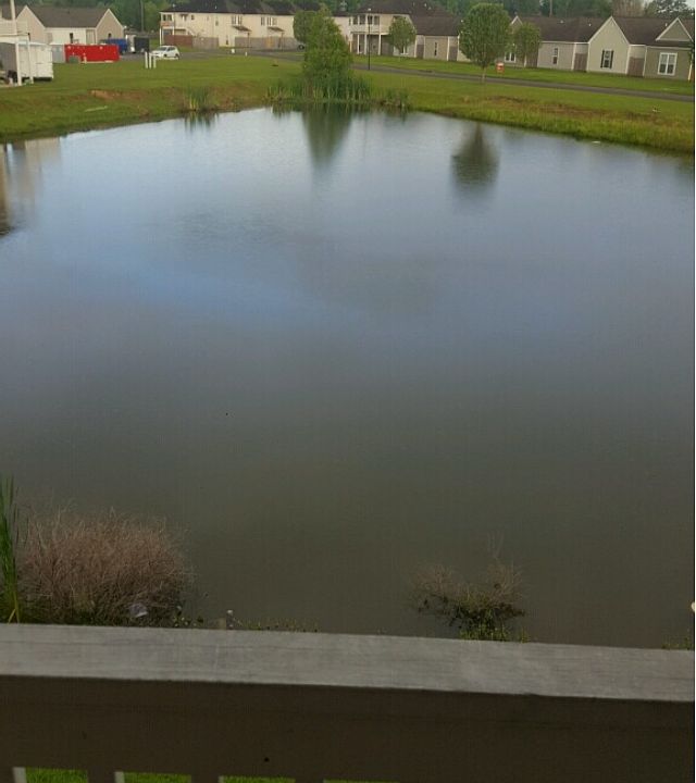 1st image of 15155 Highway 44 APT 33B