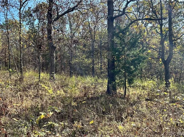 Ozark Trl, Lincoln, MO 65338