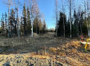 L29a Cobblestone Cir, Soldotna, AK 99669