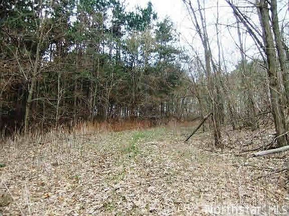5th image of Lot 9 210th Ave.