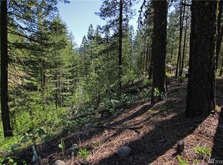 3 Bitterbrush Rd, Mazama, WA 98833