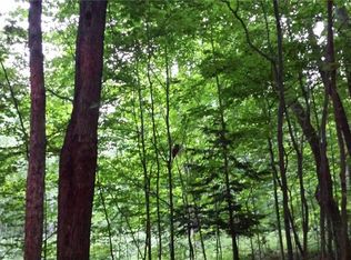 0 County Route 50 #2, Richland, NY 13144