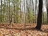 1st image of Lot 25 N Laurel Mountain Drive LOT 25