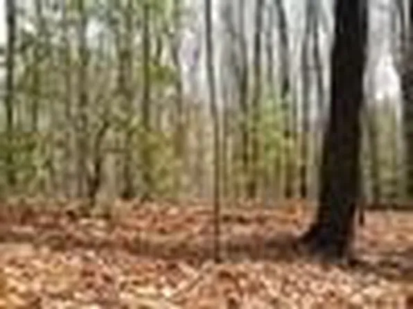 25 N Laurel Mountain Dr, Brasstown, NC 28902