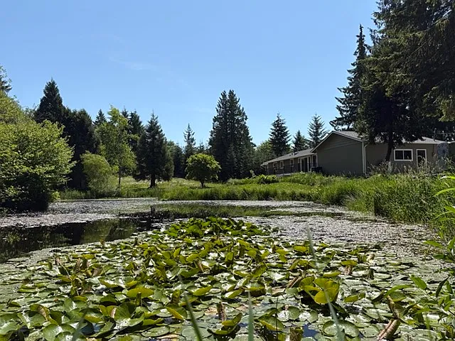 Pond/Back of House