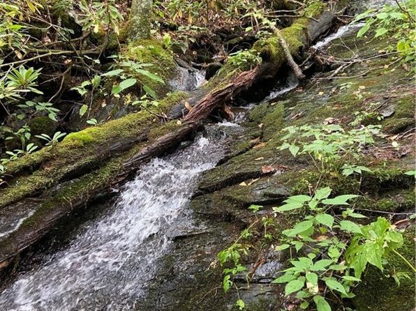 TBD Double Head Mountain Road, Newland, NC 28657