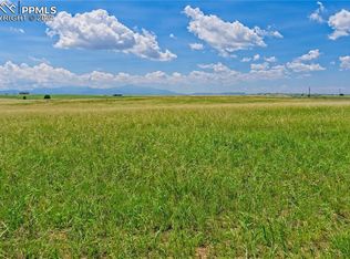 20305 Joyful Vw, Peyton, CO 80808