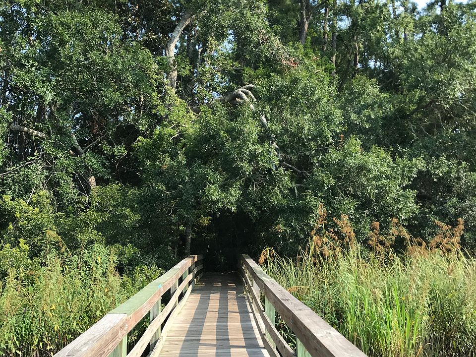 a nearby trail..