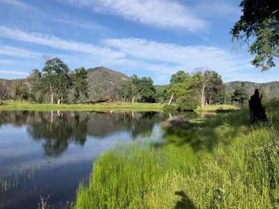 Zogg Mine Rd, Igo, CA, 96047