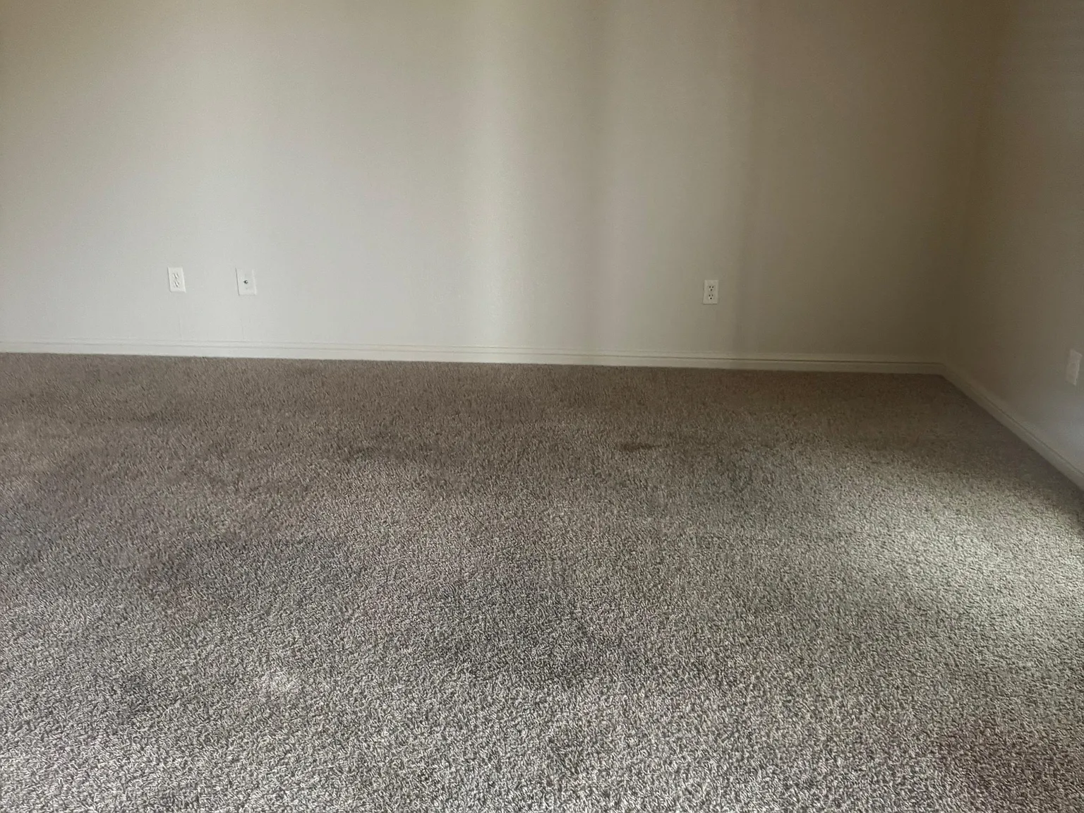 2 bed, 1000 sqft, $1,299 — Photo 2