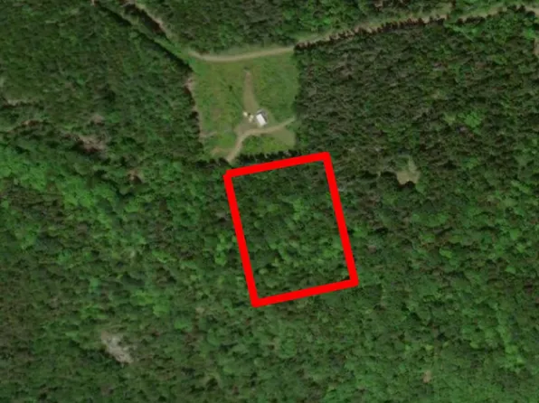Lot 54 Off Bearce Road, Lakeville, ME 04487