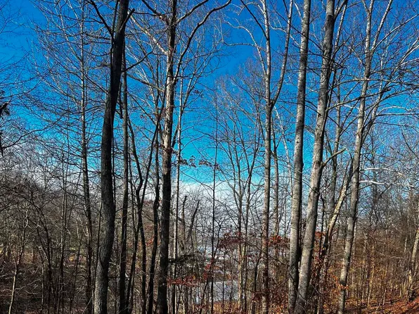 36 Canton Ln #2, Cadiz, KY 42211