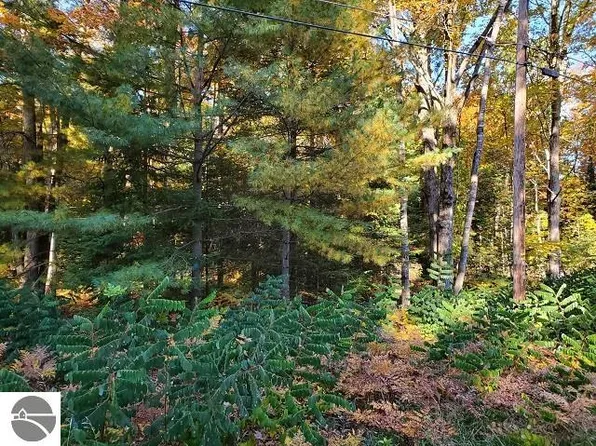 0 Scenic River Dr #22 & 23, Alger, MI 48610