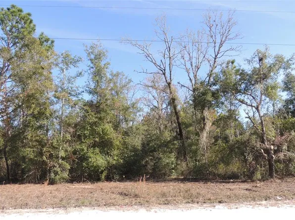 5551 NE 107th Ct #6, Bronson, FL 32621