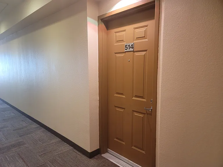 88 N Jackson Ave #514 — Photo 1