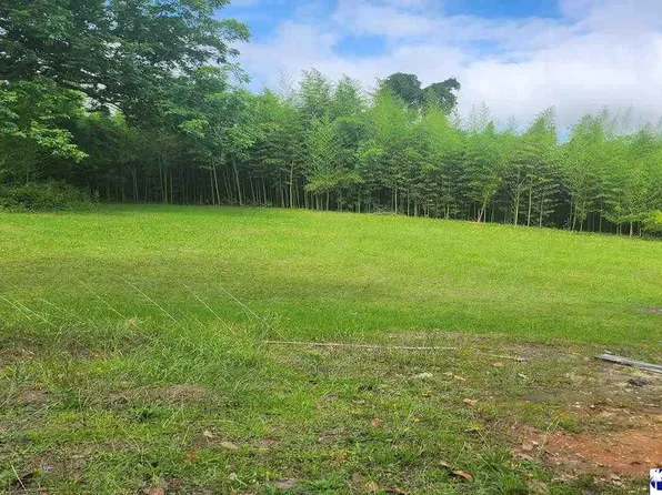 123 Livingston Ave, Bennettsville, SC 29512