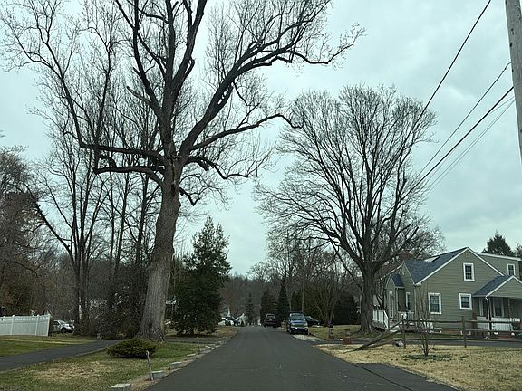 5th image of 3152 Clay Ave