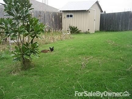 Nice backyard with new shed
						:
						1,000 dollar value shed is built extra tough.(Movable)