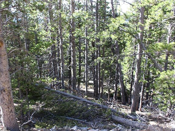 3rd image of 250 Lincoln Drive LOT 847