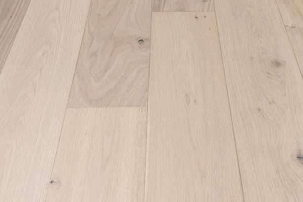 Rented by Compass | media 41