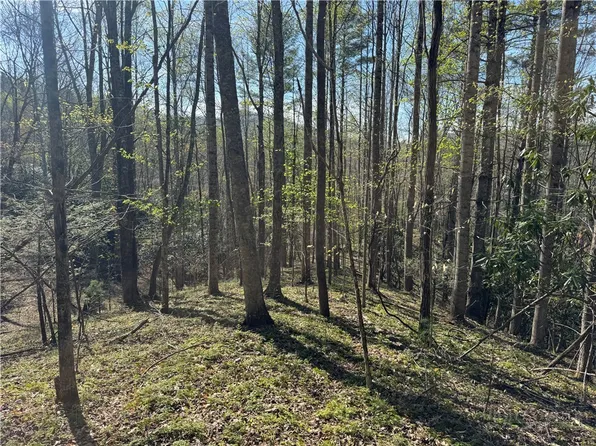 2438 Kellersville Road, Banner Elk, NC 28604