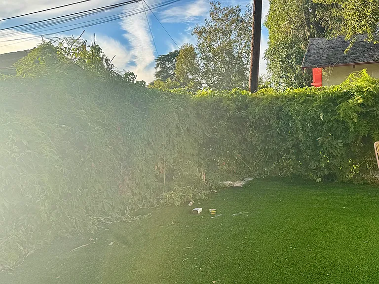 Backyard