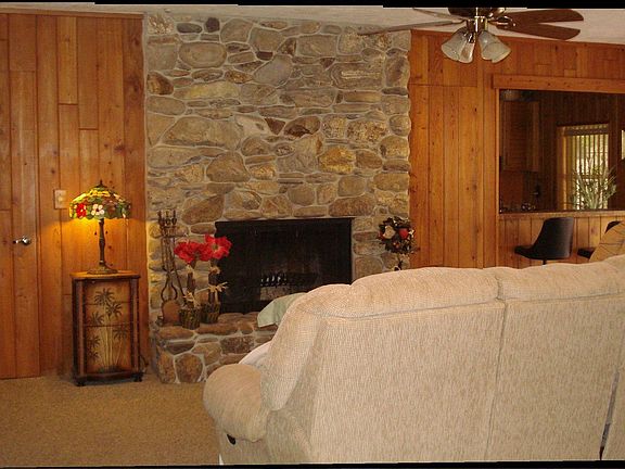 Wood buring fireplace